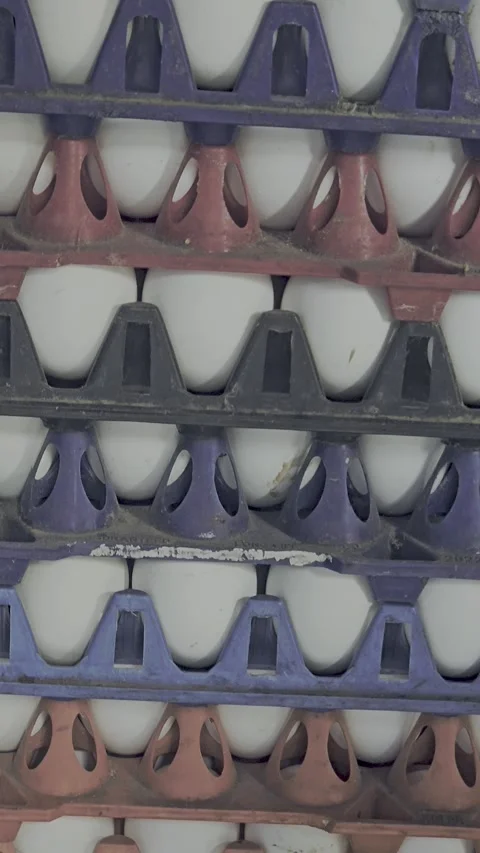A vertical close-up of stacked plastic egg trays Stockbeeldmateriaal 320481497