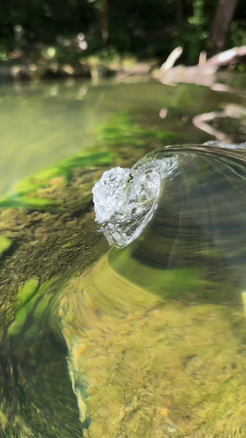VERTICAL, CLOSE UP: Tiny barrelling wave forms over a mossy rock in river Krka 库存影片 333653183