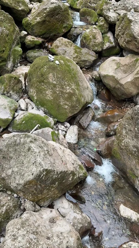 Vertical Close-up of Vibrant Green Mossy Rocks and Crystal Stream Vídeos de archivo 330622453
