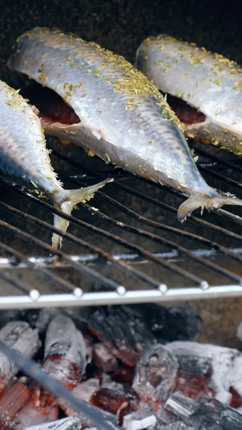 Vertical close-up video of cooking mackerel fish on a grill barbecue Stock Footage 341376978