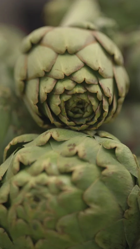 Vertical close up video of some green artichokes in market 스톡 동영상 239020992