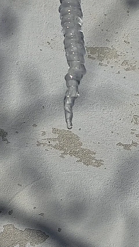 Vertical close-up video of a transparent icicle melting with a drop of wate.. Vídeos de archivo 333790691