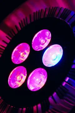 Vertical close-up view of the pink led lamp for plant growing Stock Photos
