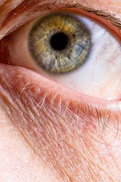 Vertical close up view of wrinkled human eye 스톡 사진