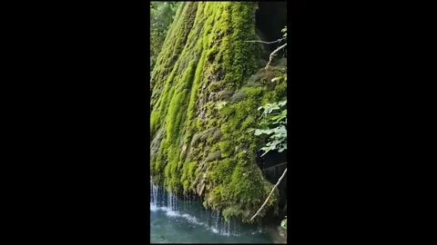 Vertical close-up of water dripping down green mossy rocks in a forest Vídeos de archivo 326661756