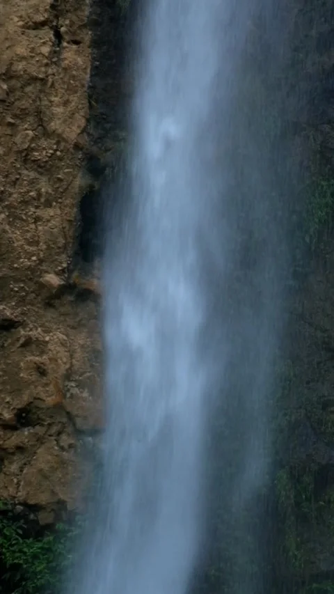 Vertical close up of a waterfall in a tropical rainforest mountain flowing Stock Footage 319879075