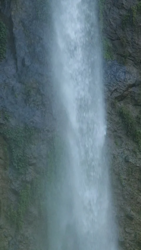 Vertical close up of a waterfall in a tropical rainforest mountain flowing Stock Footage 319879107