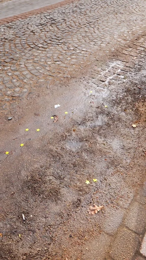 Vertical close-up of wet gritty paving with slush and sand on a cobblestone Video stock 333652293