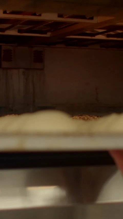 Vertical close-up of worker placing tray of unbaked buns into warm commercial Stock Footage 344574918