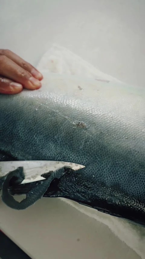 Vertical closeup 4K overhead chef hand cutting bluefin tuna skin Stock Footage 317519076