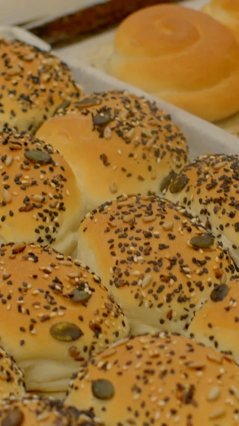 Vertical closeup of freshly baked seeded and plain rolls on trays showing roll Vidéo 344572251