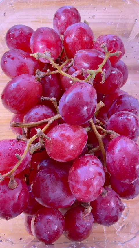 Vertical - Closeup of a punnet of washed fresh red grapes. Video stock 282971378
