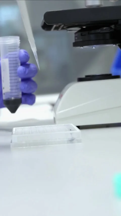 Vertical closeup Scientist using micropipette filling a well plate in labor.. Stock Footage 296886306