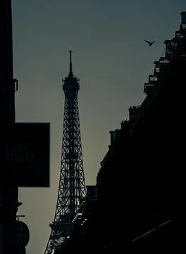 Vertical closeup shot of the Eiffel tower and buildings silhouettes during the e Stock-Fotos