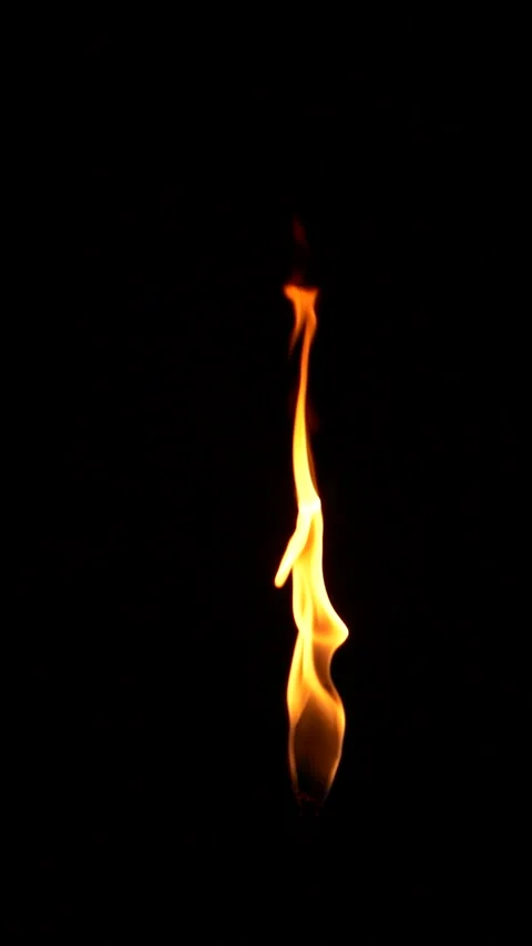 Vertical closeup torch fire flame burning over black background in slow motion Stock Footage 250741366