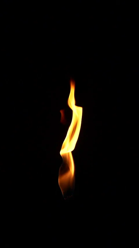 Vertical closeup torch fire flame burning over black background in slow motion Stock Footage 253464311