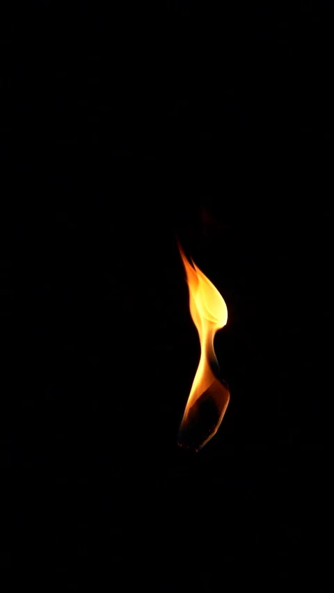 Vertical closeup torch fire flame burning over black background in slow motion Stock Footage 254650503