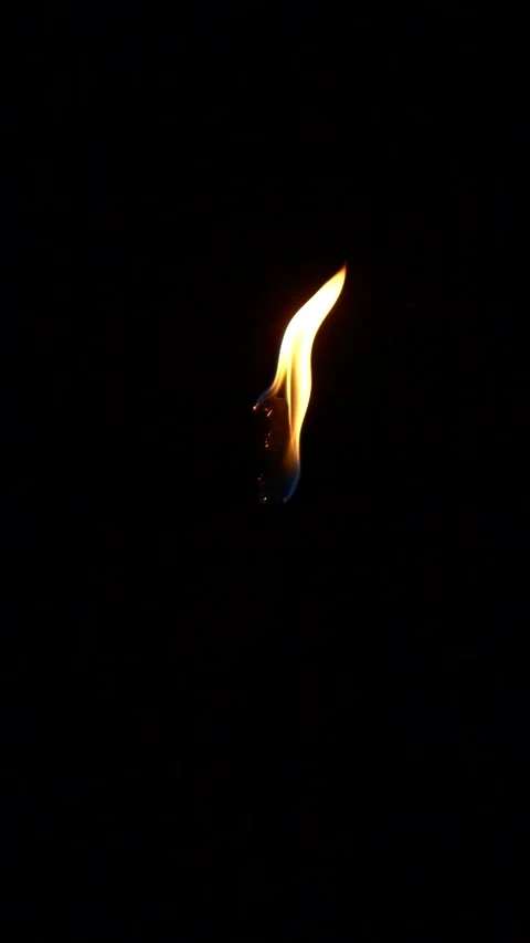 Vertical closeup torch fire flame burning over black background in slow motion Stock Footage 259610166