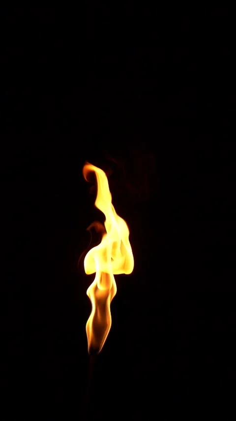 Vertical closeup torch fire flame burning over black background in slow motion Stock Footage 260525966