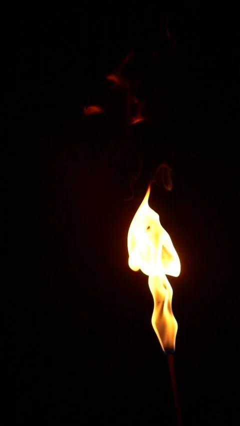 Vertical closeup torch fire flame burning over black background in slow motion Stock Footage 261253017