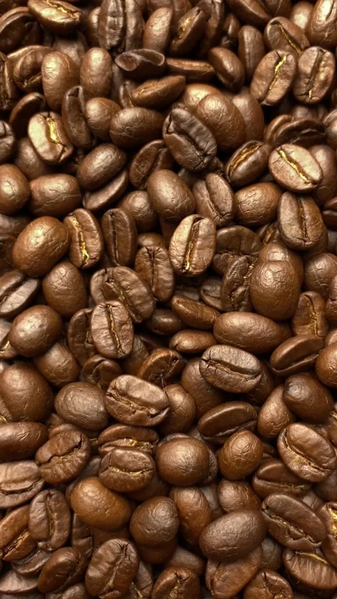 Vertical of coffee bean Stock Footage 238408517