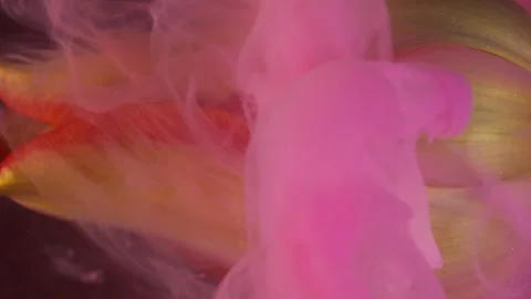 Vertical color flower explosion mix paint smoke Stock Footage 343737557
