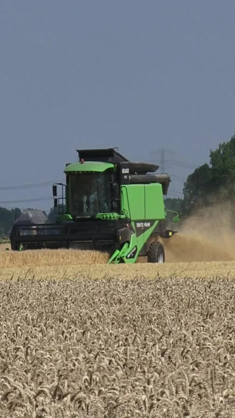 Vertical - Combine harvester - on camera Stock Footage 318078702