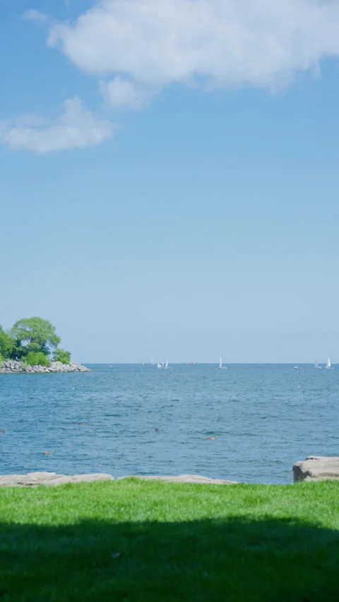 A vertical composite image of shimmering water and sailboats. Stock Footage 340989478