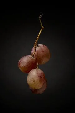 Vertical composition of grapes in soft artistic light Foto stock