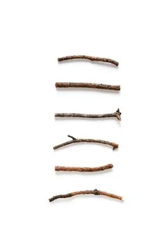 Vertical composition of various dry pine branches on a white background. Top  Stock Photos