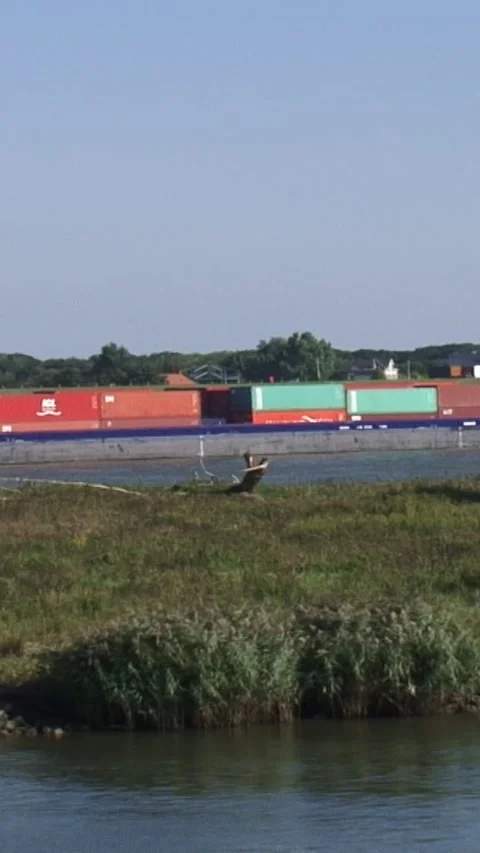 Vertical - Container ship upstream river Waal Stock Footage 308463171