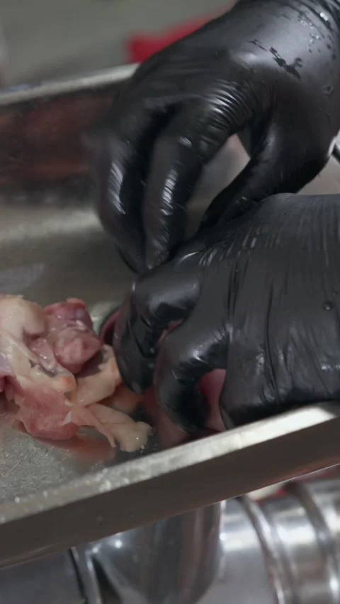 Vertical. Cook hands place chicken pieces into processing compartment of meat Stock Footage 323465248