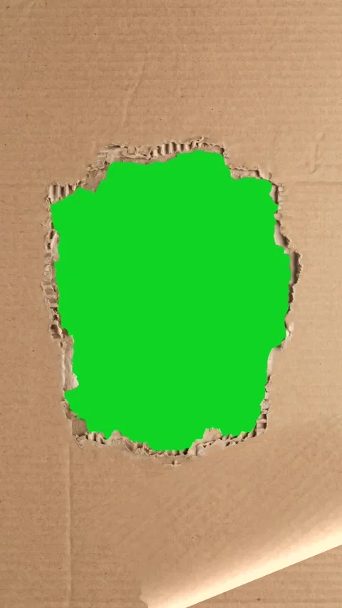 Vertical corrugated cardboard torn center reveal revealing animated on green Stock Footage 335216890