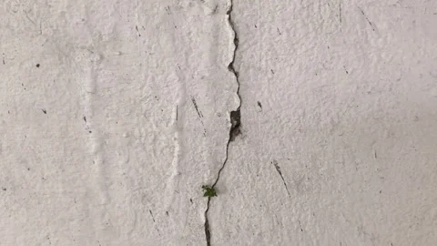A vertical crack in a weathered white concrete wall 스톡 동영상 326989357