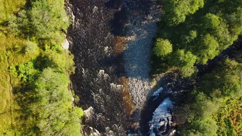 Vertical Creative Top Down Shot of a Flowing River with Drone Movement Stock Footage 229765045