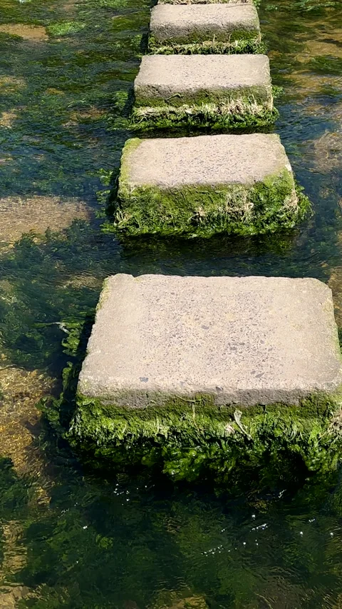 Vertical. Crossing shallow stream on stepping stones, personal perspective. Vídeos de archivo 311516412