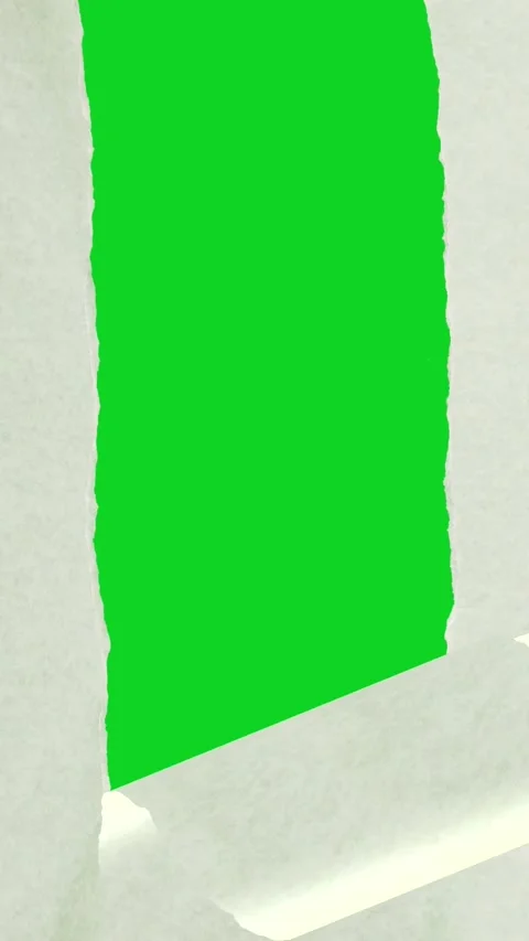 Vertical curled white paper peel down reveal gap revealing animated on green Vidéo 335216705