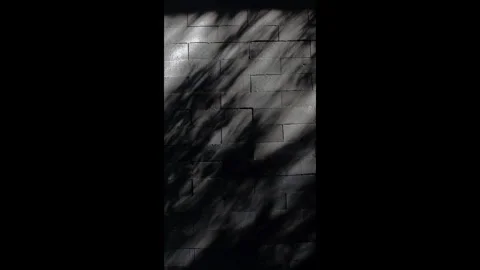 Vertical dark brick wall texture with dramatic tree shadows moving. Stock Footage 330149763
