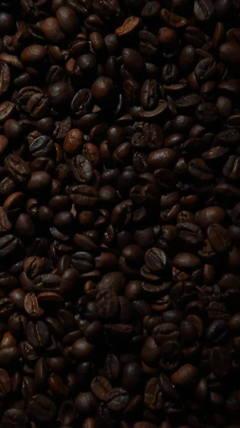Vertical dark coffee bean background Stock Footage 262228225