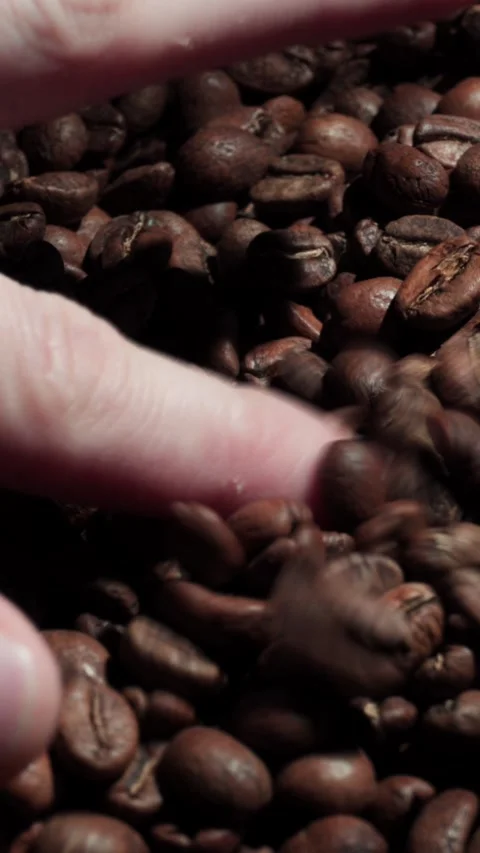 Vertical Dark Coffee Beans Hands Zoom Out Falling Grains 4K Stock Footage 325343794