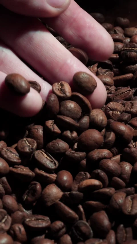 Vertical Dark Moody Coffee Beans Texture Hands Touching ASMR 4K Stock Footage 325341863