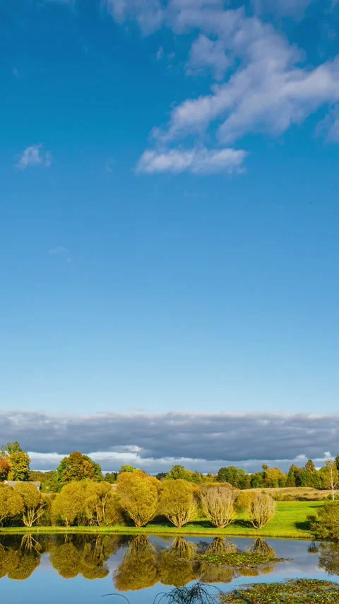Vertical day to night timelapse in verdant countryside. From cloudy weather Video stock 297959939