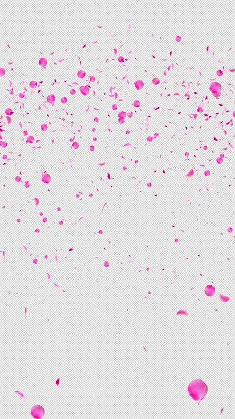 Vertical Deep Pink Plum and Ume Petals Fan Burst from Bottom, Alpha Stock Footage 337991734