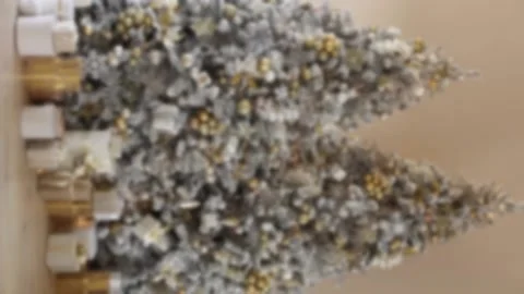 Vertical defocused footage of two luxury Christmas tree with warm lights garland Stock Footage 219605804