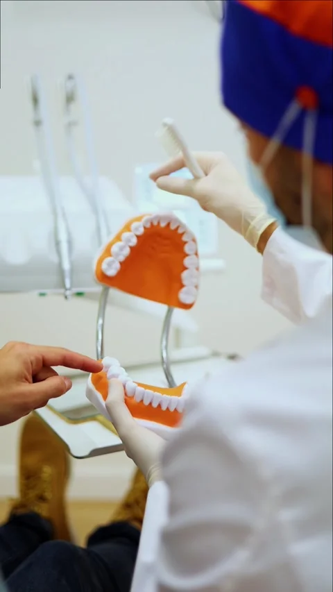 Vertical Dentist explaining teeth brushing using anatomical model Stock Footage 295784606