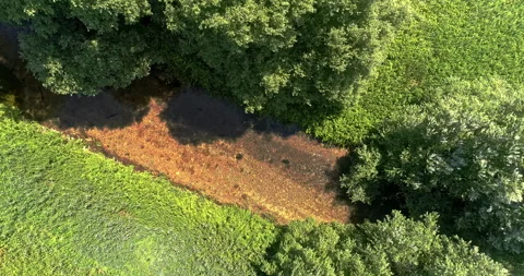 Vertical descent of a drone on a mountain stream with transparent water Stock Footage 206684169