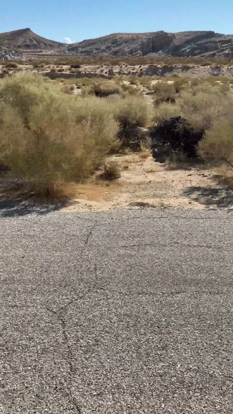 Vertical desert moving asphalt road street fast movement car driving speed Stock Footage 213796742