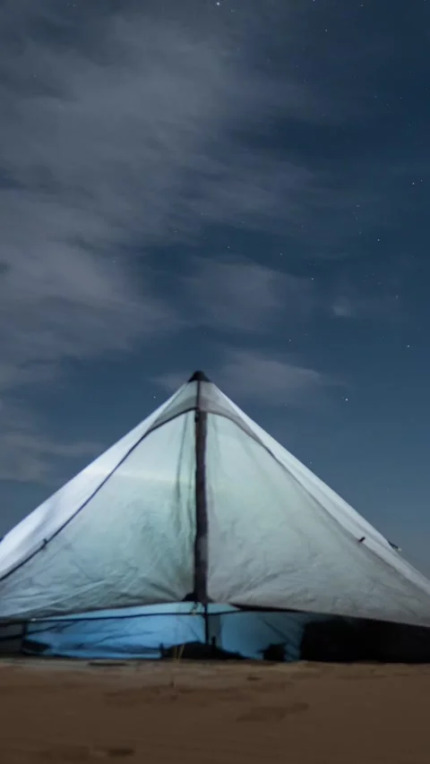 Vertical Desert Starry Night Sky Milky Way Galaxy Motion Timelapse Stock Footage 327672375