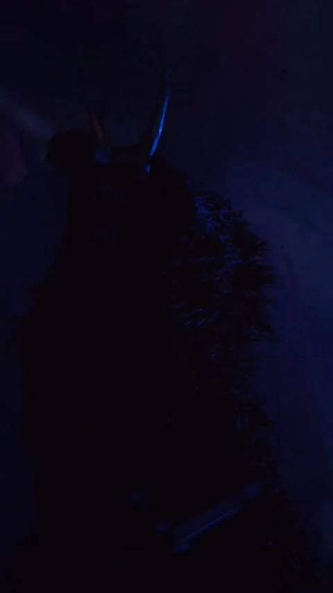 Vertical, The devil monster dances with RGB sticks in his hands. Stock Footage 301543647