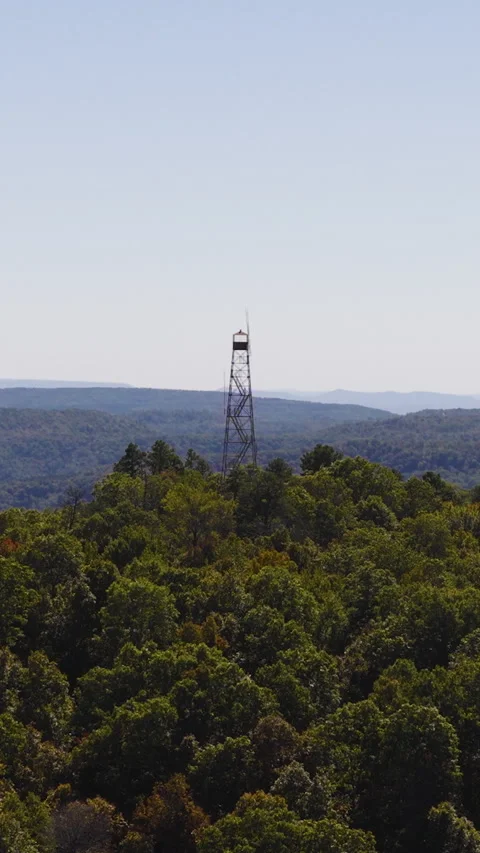 Vertical - Devils Knob Lookout Tower On Forested Mountain Peak On Sunny Day In Stockbeeldmateriaal 328071465